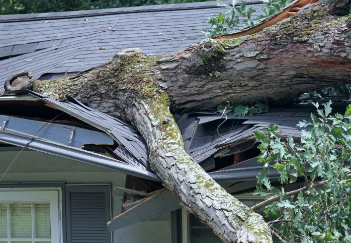 wrecked roof by fallen tree osage beach mo
